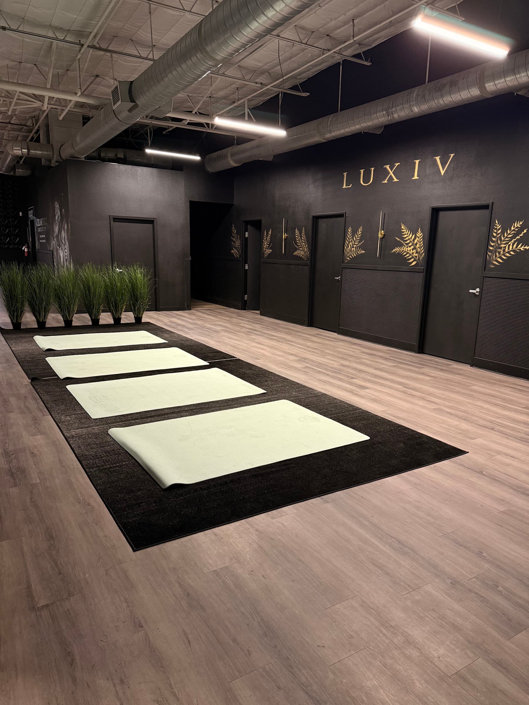 Luxiv Wellness suite