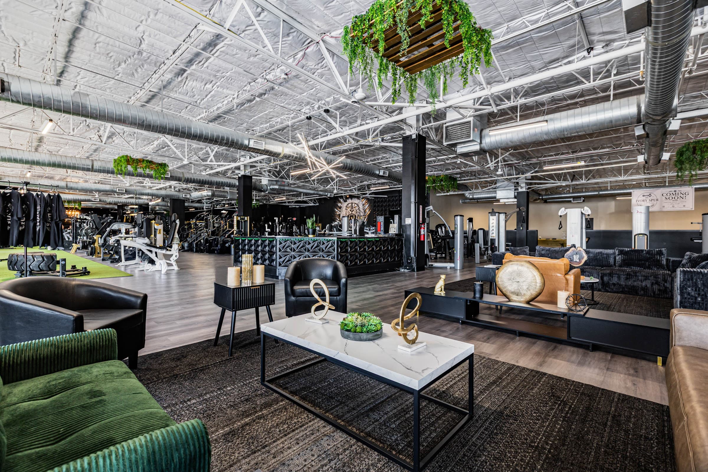 ES Gym strength floor under hanging planters, lounge in the foreground